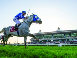 Homepage- Projects- Ministry of S & Y-1920x817 Homepage- Projects- Ministry of S & Y-1920x817