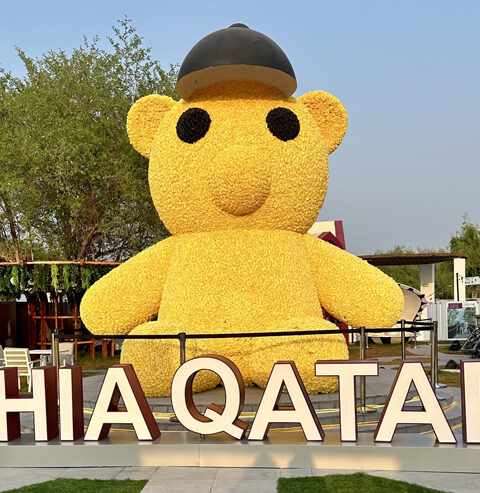 thumbnail_IMG_0944 (1)